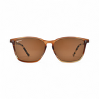 Brown Signature Dune Sunglasses Front View